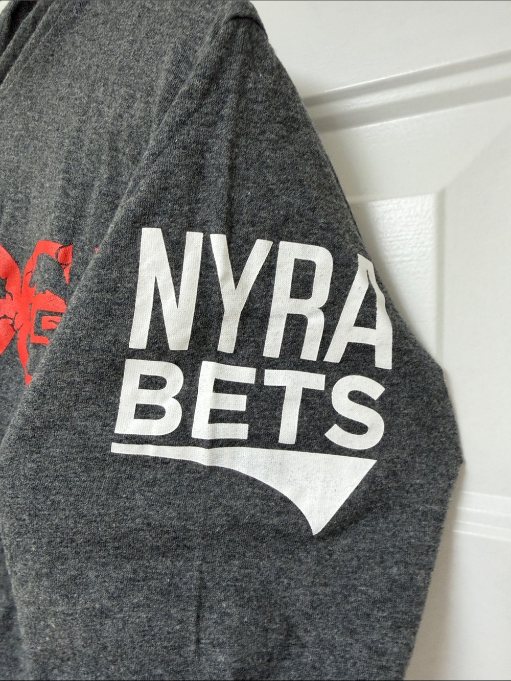 Saratoga Gray Hooded Pullover with Red Logo - Picture 3 of 5